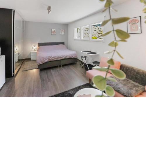 Magnifique studio cosy