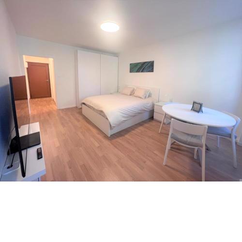 Magnifique studio, rue Rousseau