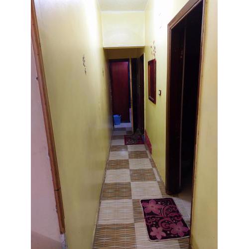 Mahmoud's House