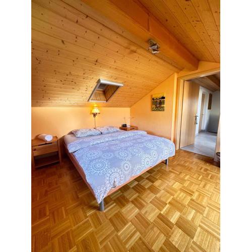 Maison Jedita