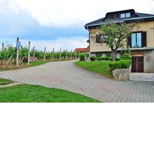 MALA KUĆA U VINOGRADU