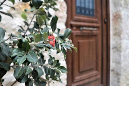 Malama's maisonette at the historic center