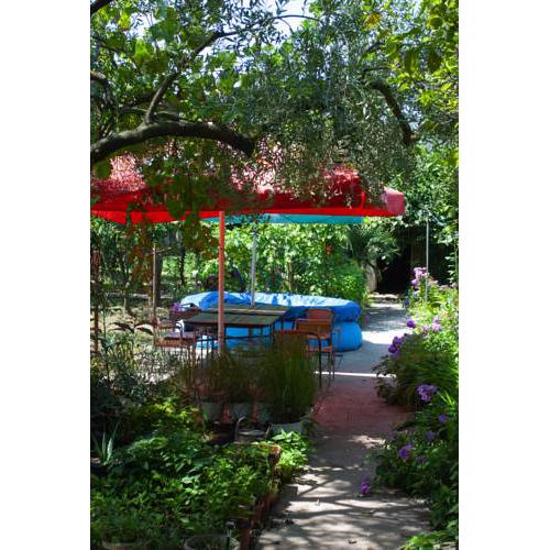 Mandarin & Orange Orchard