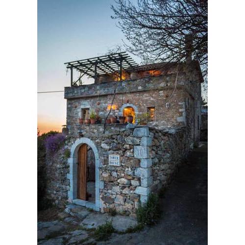 mani's tower