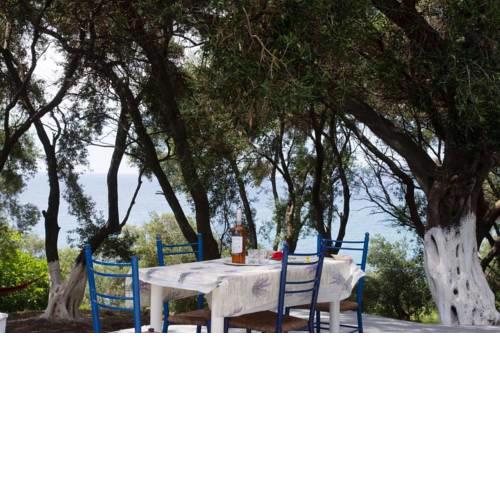 Mantzaros Traditional House (private vacation)