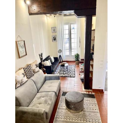 MARAIS BRAQUE APPARTEMENT