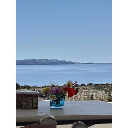 Marathitis Naxian Cottage House-Unique Aegean Sea View