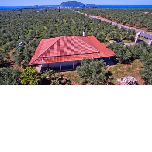 Marathos Paradise Seaside Retreat In an olive grove