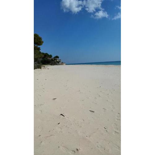 Mare a SantaMargherita