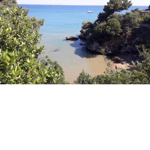 Mare