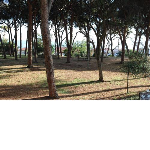 Maremma Holidays - Lamarmora Apartment