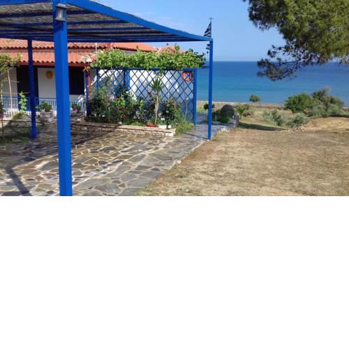 Margarita House