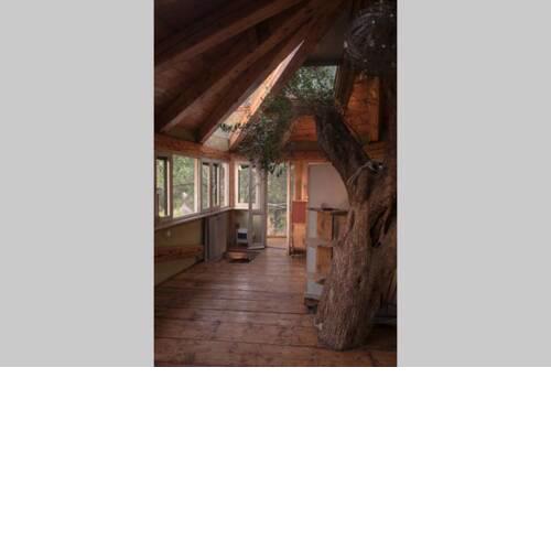 Margaritis's Treehouse