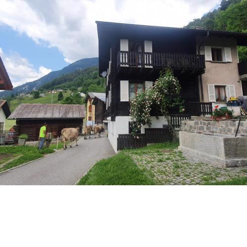 Margherita Apartment Valle Leventina