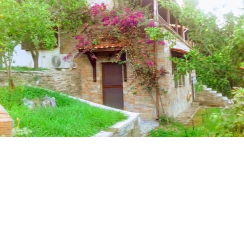 Margis studio