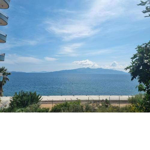Marina apartments