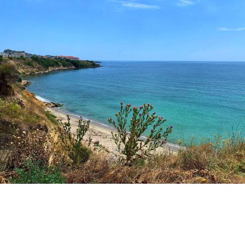 Marina Cape Superior