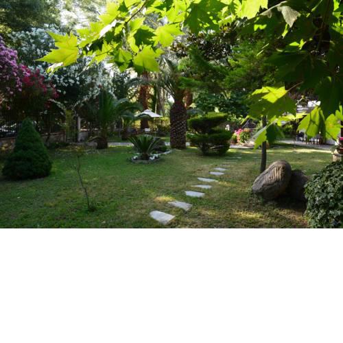 Marina's House