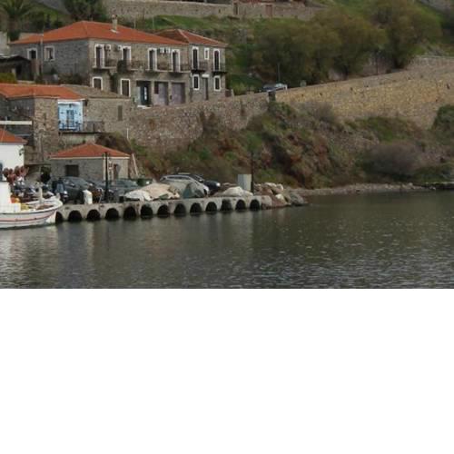 Marina's House