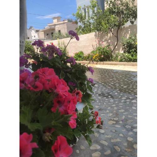 Mario Apartments Ksamil