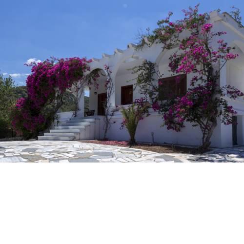 Marios House