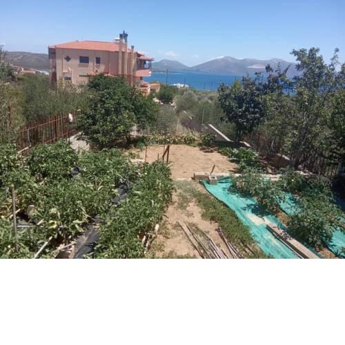 Maritsas House
