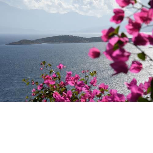 Mars - Miracle View Villas