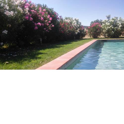 Mas Figueres
