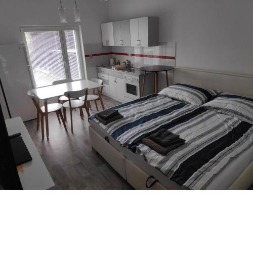 MASNA APARTMENT LIBEREC