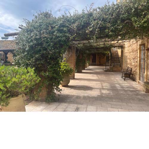 Masseria Gatto Bianco Provenzani