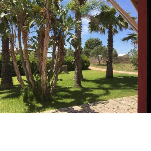 Masseria Patese 2