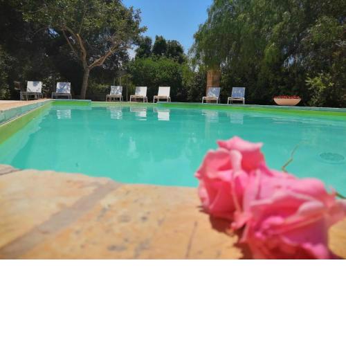 Masseria Pugliese Farm