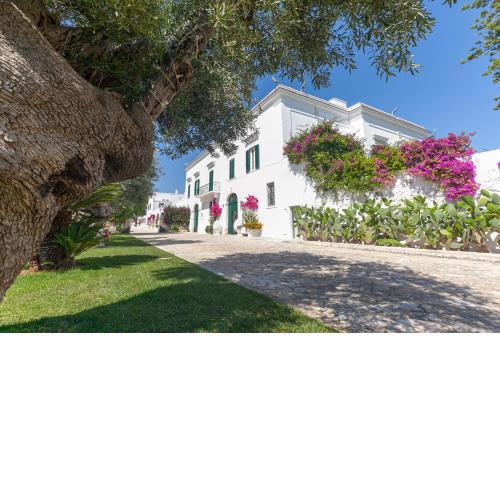 Masseria San Nicola Savelletri