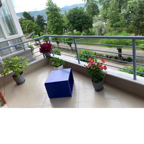 Matilde Apartment