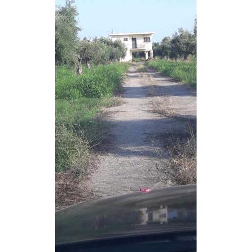 MAVROVOUNI SMALL HOUSHE