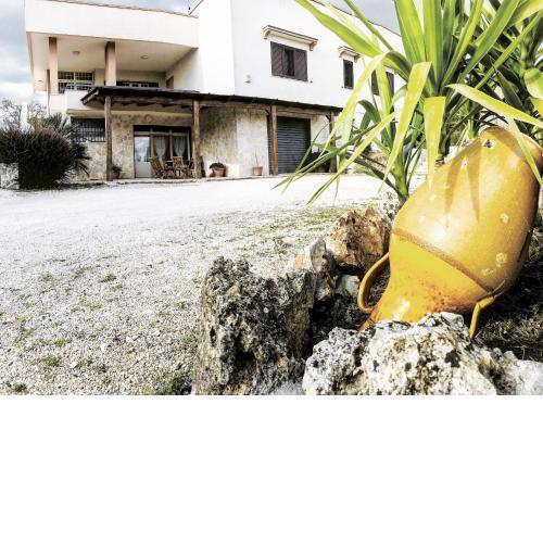 Mavù 19