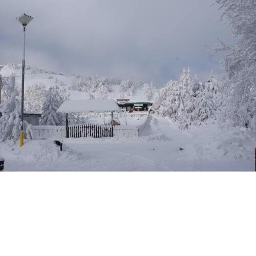Meděnec Slanda