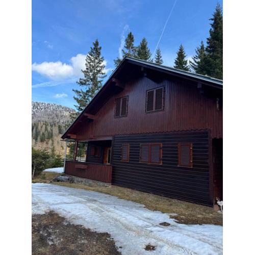 Meine Hütte in der Feldpann-ALm