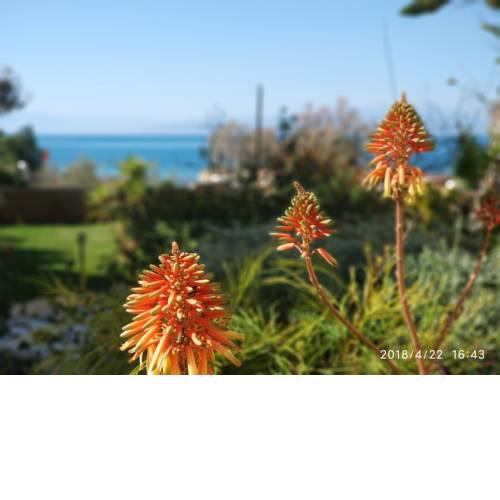 Melissi Seafront Apartment