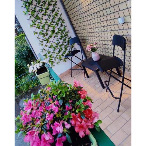 Melody's House