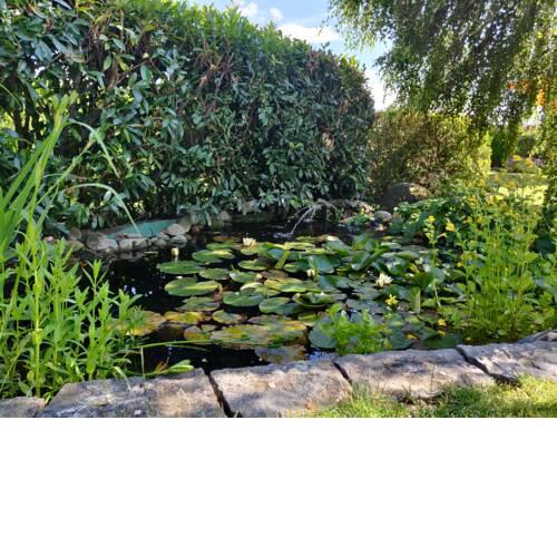 MENBERGS HARMONY HOMESTAY