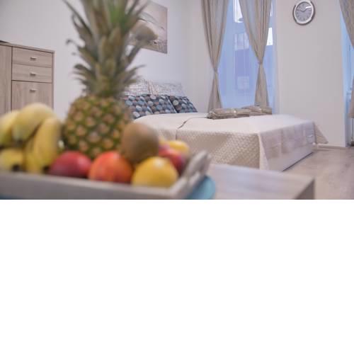 Merion Apartment