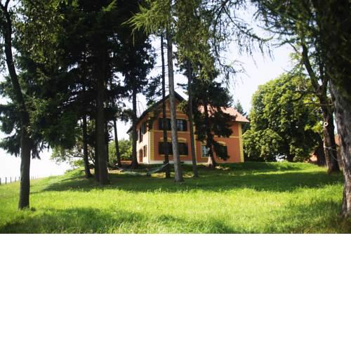 Mestni Hill Farm stay