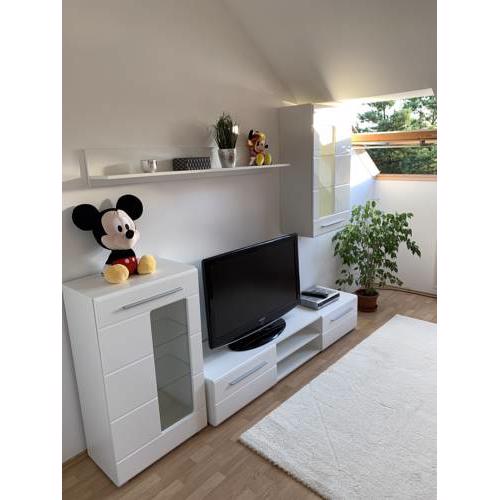 Mickey Mouse House - 80 m2 - Vulkán Fürdő -Spa
