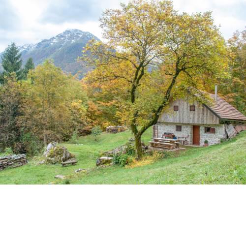 Miha lodge