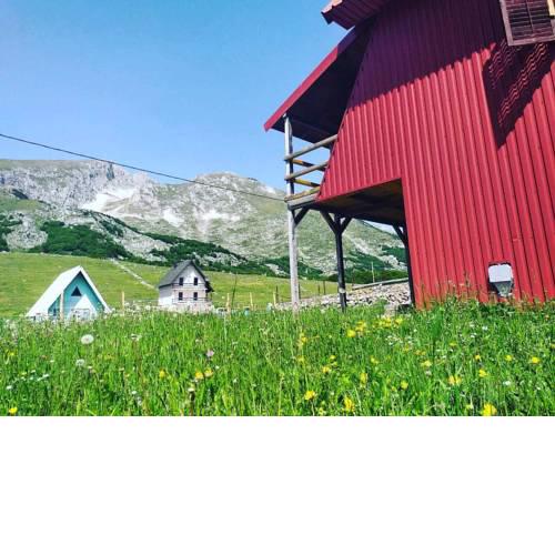Milan`s Holiday home
