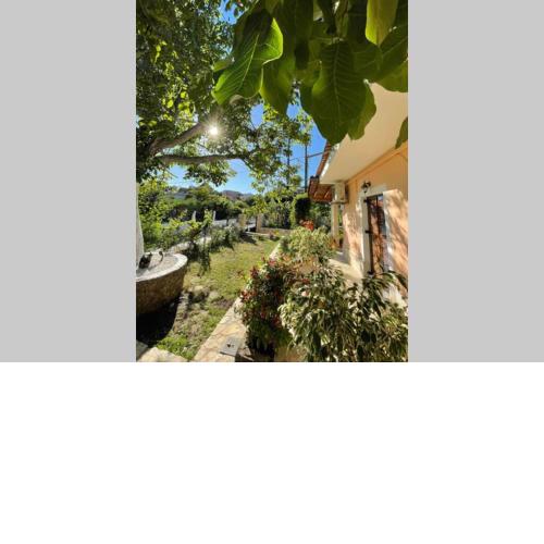 Mina's serene garden house