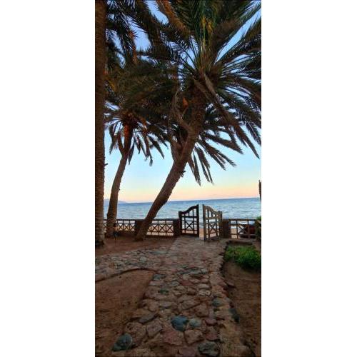 Minimalistic Egyptian-Style 1-Bedroom Beachfront apartment with Private Beach Access in Dahab