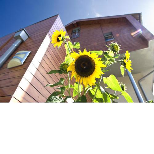 Mittendorf Klimaresidence