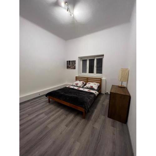 Mlýnský ostrov apartment